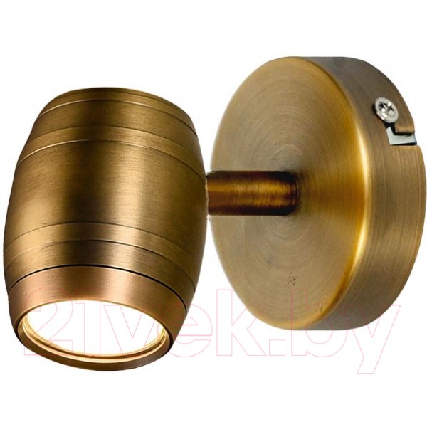 Спот Lussole Loft LSP-9566