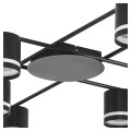 Потолочная люстра Lumion Berty Comfi 8362/8C