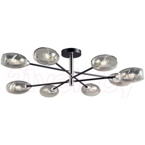 Люстра Lussole Brantley LSP-8931