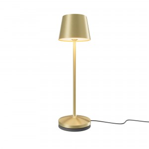 Аккумуляторный светильник Maytoni MOD494RL-L1BSK