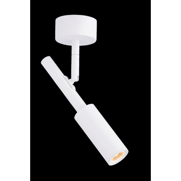 20116 SWT (1/20) Светильник (RL)