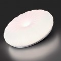 Настенно-потолочный светильник Sonex Pale Anix 7678/FL
