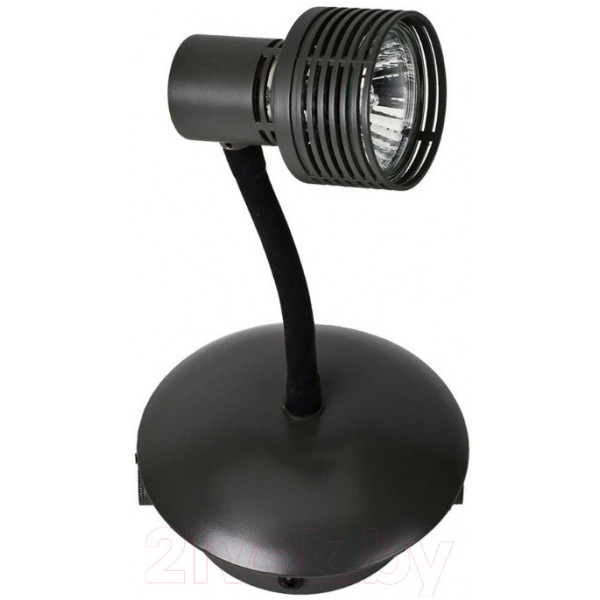 Спот Lussole Arina LSP-9820