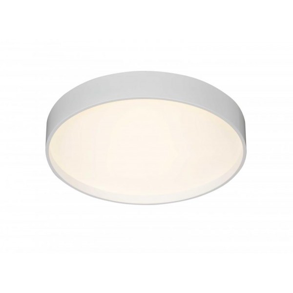 2541/600 WHITE (1) Потолочный светильник (RL)