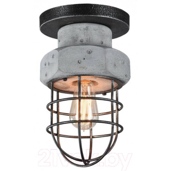 Потолочный светильник Lussole Loft LSP-9701