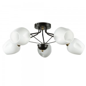 Потолочная люстра Arte Lamp Brighton A2706PL-5CK Потолочная люстра Arte Lamp Brighton A2706PL-5CK