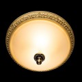 Потолочный светильник Arte Lamp Ivory A9070PL-2AB