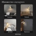 Спот Rivoli Stella 7090-701 Б0071319