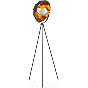 Торшер Lussole LSP-0556