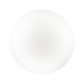 Настенно-потолочный светильник Sonex Pale Simple 3017/DLN