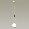 Подвесной светильник Odeon Light Pendant Flari 4810/1