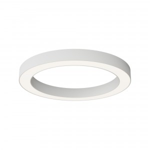 Потолочный светильник Technical C093CL-45W4K-W