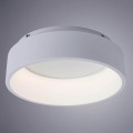 Потолочный светодиодный светильник Arte Lamp A6245PL-1WH