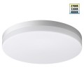 Уличный потолочный светильник Novotech Opal Street 359728