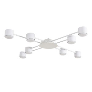 Светильник потолочный Lumion BENUA 8305/8C