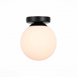 Настенно-потолочный светильник Evoluce Acini SL717.401.01