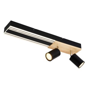 Потолочный светильник Favourite 4437-2C