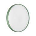 Настенно-потолочный светильник Sonex COLOR 7743/ELN