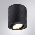 Потолочный светильник Arte Lamp Fang A5559PL-1BK