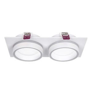 Встраиваемый светильник Favourite 4650-2C