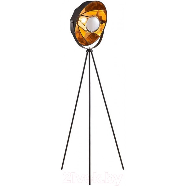 Торшер Lussole LSP-0556