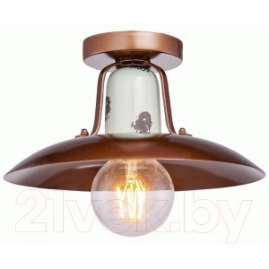 Потолочный светильник Lussole Loft Vermilion GRLSP-8162