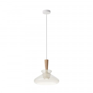 Подвесной светильник Maytoni MOD405PL-01W
