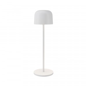 Уличный переносной аккумуляторный светильник Outdoor O528TL-L2WCCT