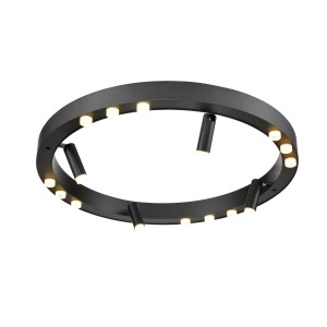 Потолочный светильник Vele Luce Satellite VL7172L12 Потолочный светильник Vele Luce Satellite VL7172L12