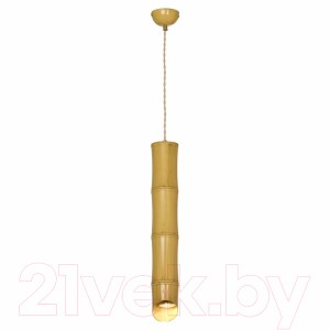 Потолочный светильник Lussole LSP-8564-4