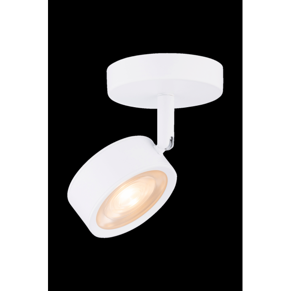 20115 SWT (1/20) Светильник (RL)