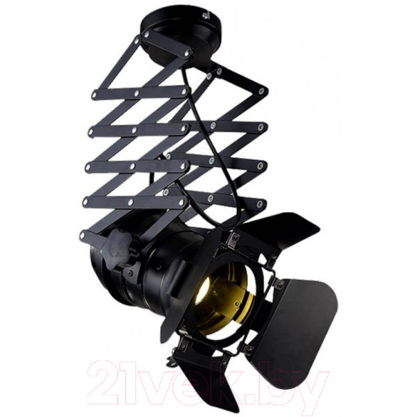 Потолочный светильник Lussole Loft GRLSP-9702