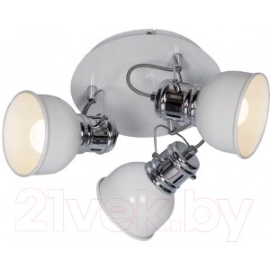 Спот Lussole Inari LSP-9956