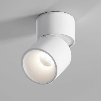 Потолочный светильник Elektrostandard 25112/LED a067487 Потолочный светильник Elektrostandard 25112/LED a067487