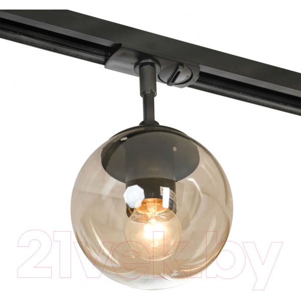 Трековый светильник Lussole Hartwell LSP-8167-TAB