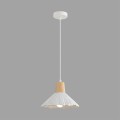 Подвесной светильник Lumion SUSPENTIONI 8352/1A