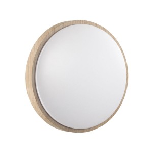 Настенно-потолочный светильник Sonex Pale Losta 7792/ALN