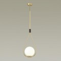 Подвесной светильник Odeon Light Pendant Flari 4810/1A