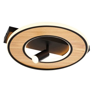 Потолочный светильник Favourite 4438-2C