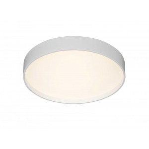 2541/500 WHITE (1) Потолочный светильник (RL)
