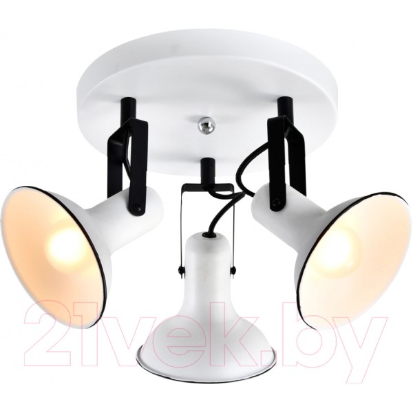 Спот Lussole LSP-8803