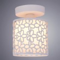 Потолочный светильник Arte Lamp Traforato A8349PL-1WH