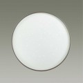 Настенно-потолочный светодиодный светильник Sonex Pale Geta silver 2076/EL