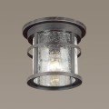 Уличный светильник Odeon Light Nature Virta 4044/1C