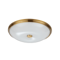 Потолочный светильник Odeon Light Walli Pelow 4956/5