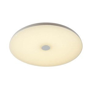 Потолочный светодиодный светильник Sonex Vasta led Roki muzcolor 4629/DL