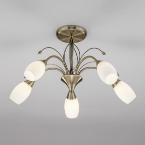 Потолочная люстра со стеклянными плафонами 30280/5