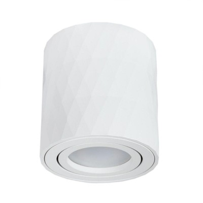 Потолочный светильник Arte Lamp Fang A5559PL-1WH