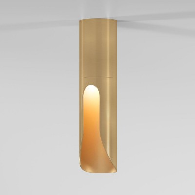 Потолочный светодиодный светильник Elektrostandard Apex 25113/LED a068290 Потолочный светодиодный светильник Elektrostandard Apex 25113/LED a068290