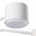 Потолочная люстра Lumion Comfi Rondo 8231/6C